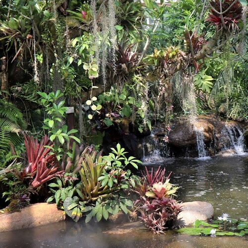 Scene documenting biodiversity