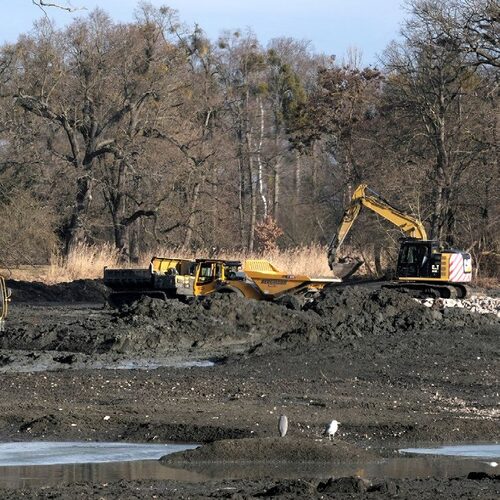 The Great Castle Fishpond Restoration