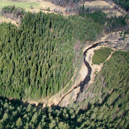 Aerial photo of Sumava forests