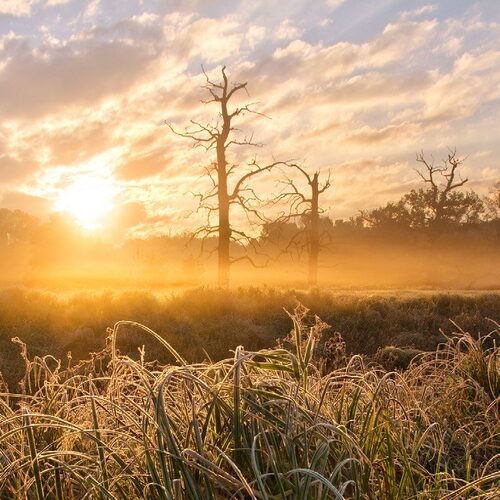 Sunrise at Soutok - Morava and Thaya rivers