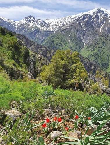 View of Ugam-Chatkal National Park.