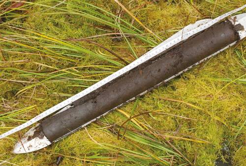 Figure 4. Drilling from the Březina peat-bog.