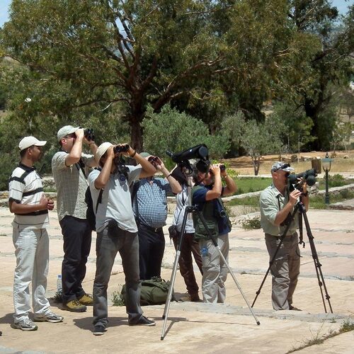 Birdwatchers with binoculars