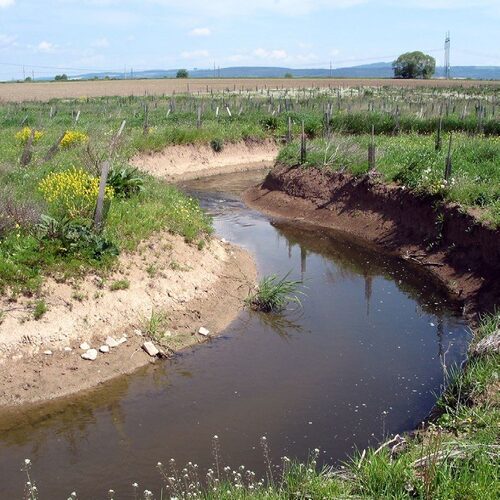 View on Žichlínek Flood Water Reservoir 