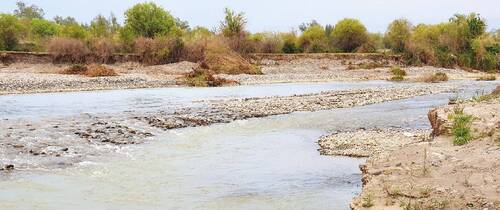Tugays – the specific Central Asian ecosystems. – Zarafshan Natural Park.