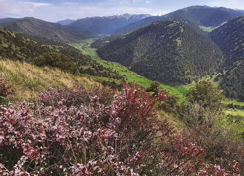 View on Uzbekistan’s countryside.