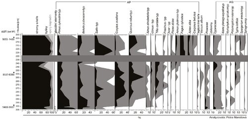 Figure 5. Diagram of simplified pollen analysis results from the Březina National Reserve.