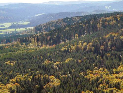 Photo: The predominantly forested, picturesque landscape of the Šumava/Bohemian Forest Mts. Protected Landscape Area offers forests where you can still get lost.
