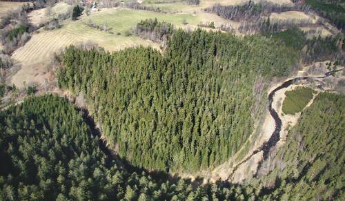 Photo of The Blanice River Canyon