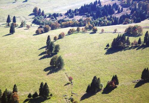 At present, the agricultural landscape of the Šumava/Bohemian Forest Mts. Protected Landscape Area consists largely of meadows and pastures with scattered trees and fallow wetlands.