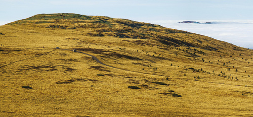 Photo: Levelled summit surface of the Eastern Krkonoše/Giant Mts.