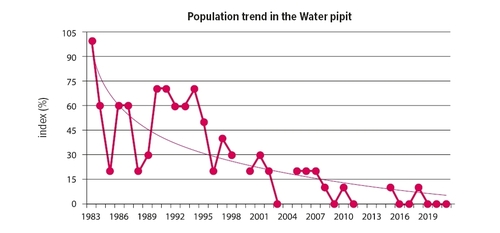 Graph of descending population trend in the Water pipit based on the results of Jiří Flousek's spot and transect census.