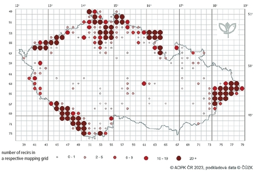 Graph - Occurrence of the Eurasian wolf (Canis lupus) in the Czech Republic in 2000–2023