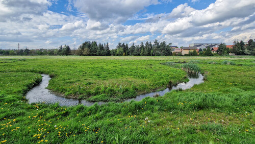 Revitalizace Rokytky v Praze – přirozená niva s aktivní retencí.
