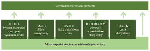Struktura pracovních skupin k přípravě Národního plánu na obnovu přírody.