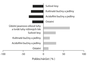 České lesy se staly jednotvárnějšími. Pestřejší otevřené lesy dlouhodobě mizí