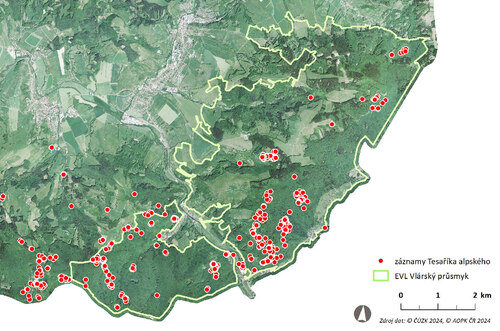 Mapa nálezů imag tesaříků alpských a jejich výletových otvorů z monitoringu v roce 2021.  Nálezová databáze ochrany přírody.