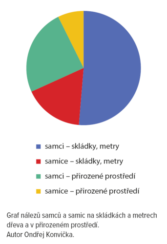 Graf - monitoring tesaříka 