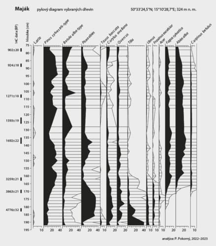 Zjednodušený pylový diagram z vrtu rašelinou v lokalitě Maják v Českém ráji. Autor Petr Pokorný