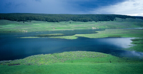 Řeka Yellowstone - nejdelší neregulovaný vodní tok v USA.