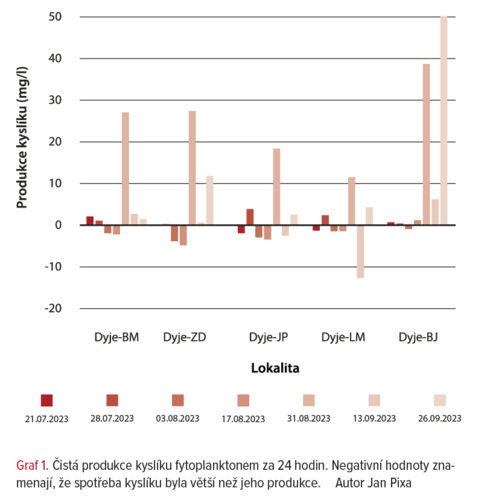Graf  čisté produkce kyslíku fytoplanktonem za 24 hodin