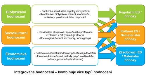 Schema základních typů hodnocení hodnocení