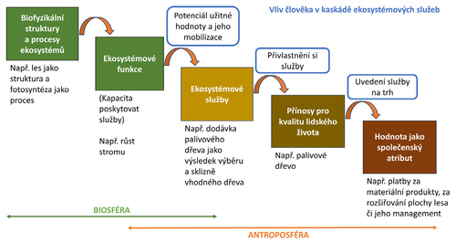 Schéma Kaskáda ekosystémových služeb.