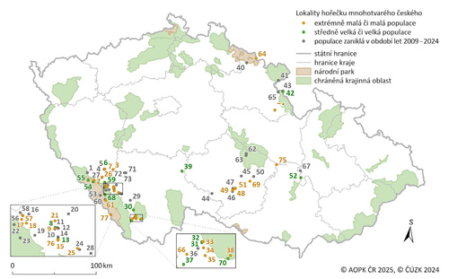 Rozšíření hořečku mnohotvarého českého (Gentianella praecox subsp. bohemica) na území ČR.