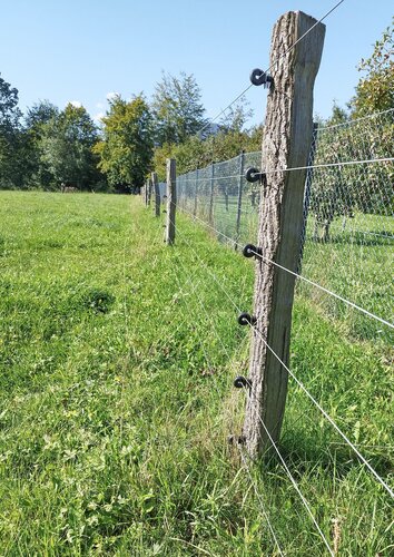 Víceřadé pevné oplocení s elektrickým ohradníkem.