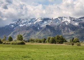 Červený seznam IUCN nově hodnotí také ohrožení ekosystémů v globálním měřítku