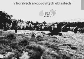 Hydrologické revitalizace v horských a kopcovitých oblastech