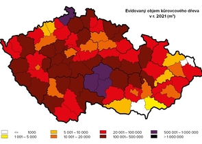 Oživila kůrovcová kalamita české hospodářské lesy?