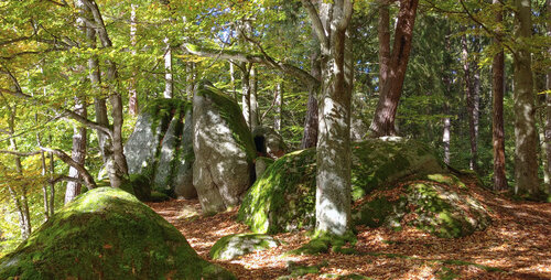Granite boulders in the Kynžvart Chateau Park. © Přemysl Tájek