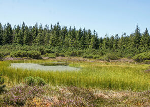 The Krušné hory/Ore Mountains Protected Landscape Area?