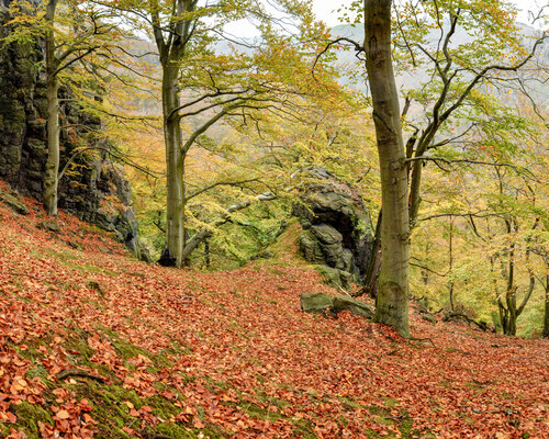 Rock gate in a beech forest on steep slopes near the Jezerka National Nature Reserve border. © Radek Fišer
