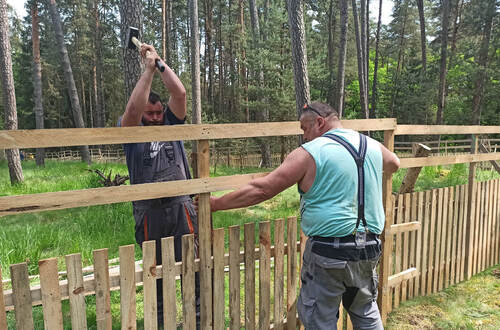 Natural and artificial forest regeneration need to be enclosed within fencing.
