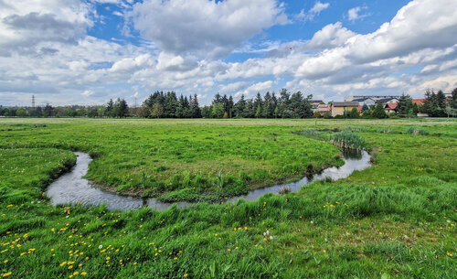 Restoration of the Rokytka Rivulet in Prague – a natural floodplain with active retention – an area designated for the harmless overflow of high water which, conversely, slowly drains from the floodplain during dry periods. © Linda Stuchlíková
