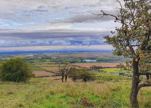 Ecologically Significant Elements (Landscape Elements) as Part of the Ecological Network
