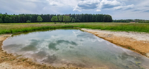 Various wetland types including pools with a minimum area of 100 m² can be registered as a non-productive ‘Wetland’ Ecologically Significant Element and thus, inter alia, apply for property tax exemption. © Pavel Pešout
