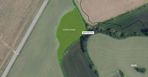 Example of an Ecologically Significant Element of the ‘Wetland’ type.