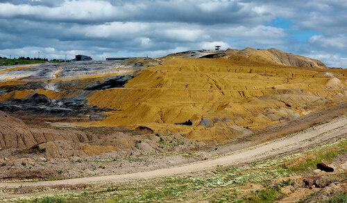 The varied geological bedrock/subsoil and composition of the dumps are one of the drivers fundamentally affecting the natural succession and biodiversity within the area. © Pavel Pešout