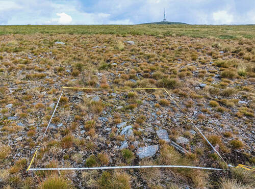State of vegetation at the Vysoká Hole/High Meadow: vegetation was fully removed thus denuding the mineral substrate 7 years ago. © Jindřich Chlapek