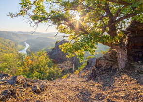 How has the landscape of our protected areas changed over the past 70 years?