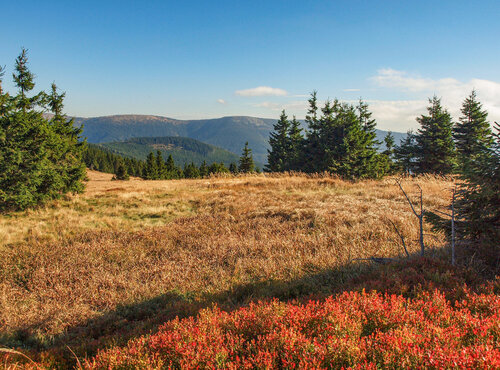 Mountain range in the Jeseníky Protected Landscape Area (northern Moravia). © David Outrata