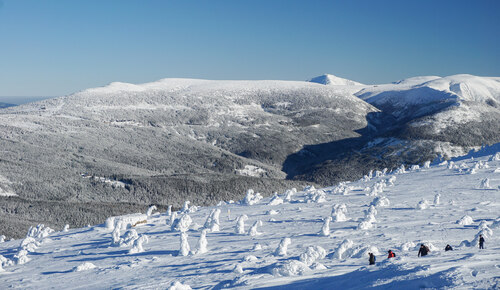 The Krkonoše/Giant Mts. National Park (eastern Bohemia). © David Outrata