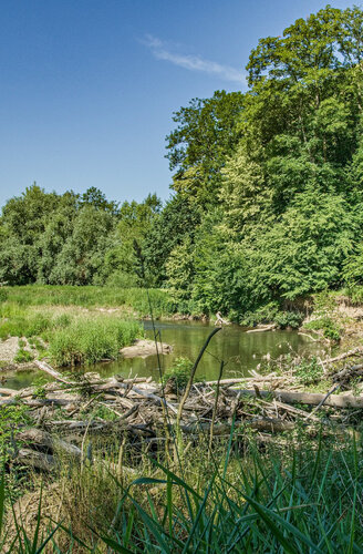 Lowland area with floodplain forests in the Litovelské Pomoraví/Litovel Morava River Protected Area (Central Moravia). © Jaroslav Vojta