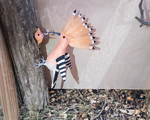 One of the twenty infoboxes introduces us to a Eurasian hoopoe feeding its young. © Petra Kotásková