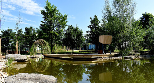 In addition to local herbs, shrubs and trees, the garden also features a sand dune and a waterbody, resembling sand steppes and fishponds. © Petra Kotásková