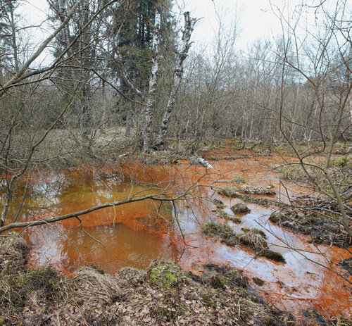 Phycological and Paleoecological Research of the Selected Mineral Springs in the Slavkovský les/Slavkov Forest Mts. Protected Landscape Area (West Bohemia)