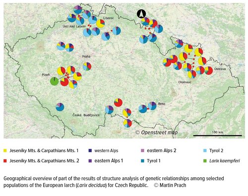 Geographical overview of part of the results of structure analysis of genetic relationships among selected populations of the European larch (Larix decidua) for Czech Republic. © Martin Prach